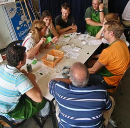 klik voor een vergroting + bladeren door foto's het Goksyndicaat