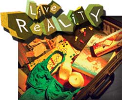 Interactief Theater: het Live Reality Huis Thuis